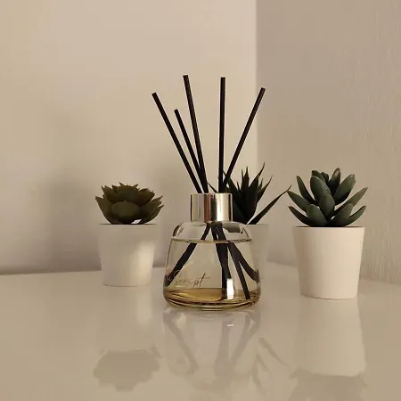 Casa Gregorio - Center *